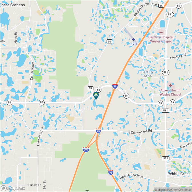 TidalWaveAutoSpa FL-Lutz